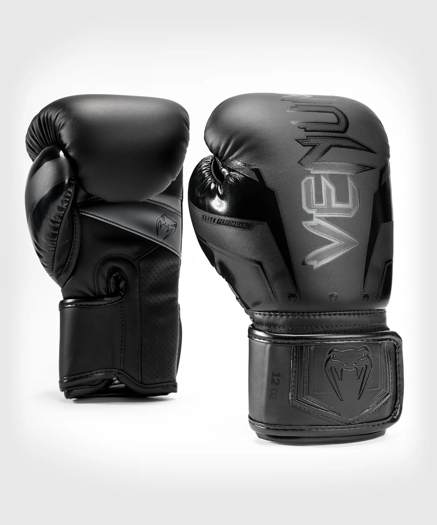Boxing Gloves Elite Evo - main product image