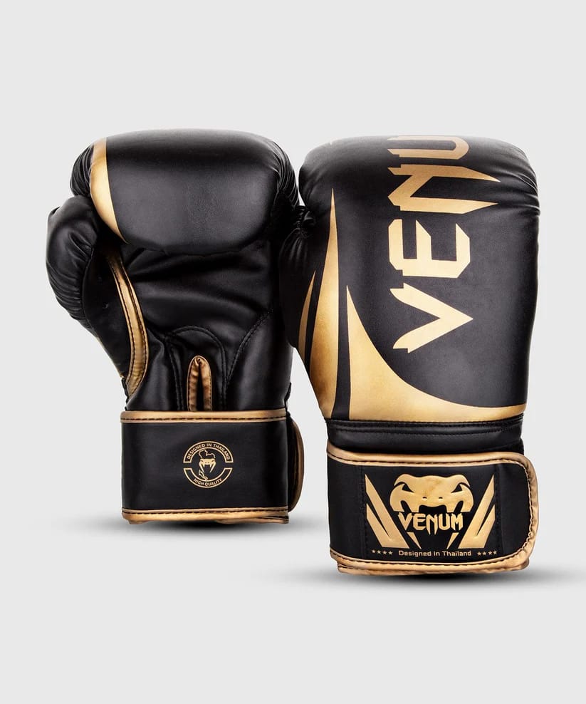 Challenger 2.0 Boxing Gloves - main product image