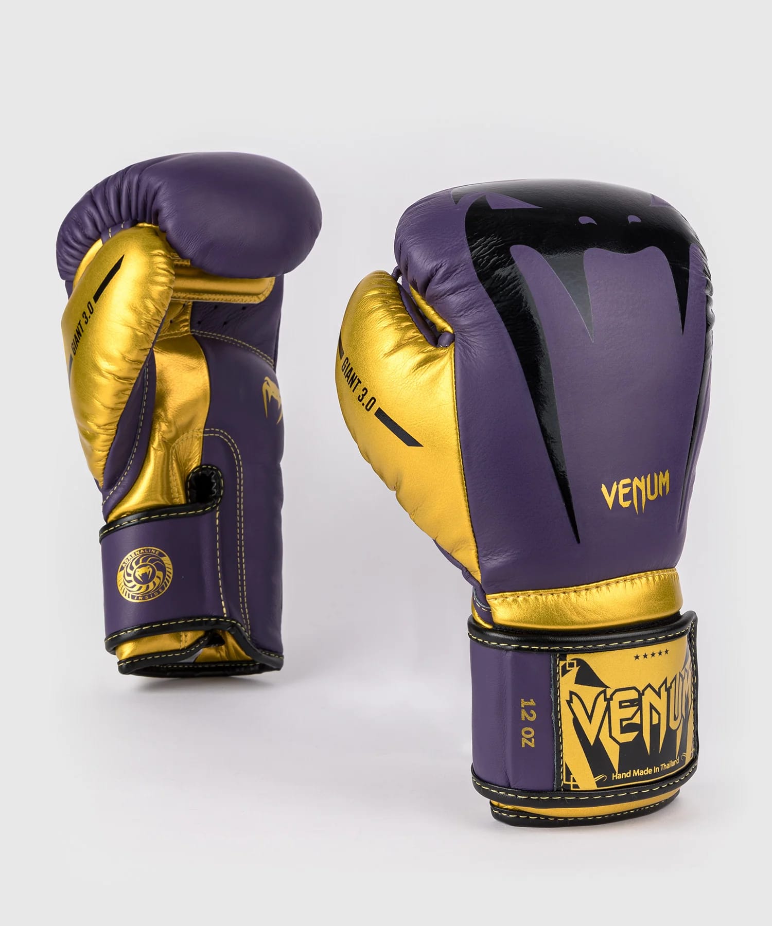 Giant 3.0 Boxing gloves - main product image