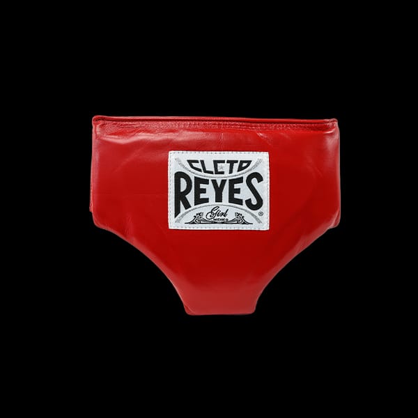 Female Pelvic Protector - main product image