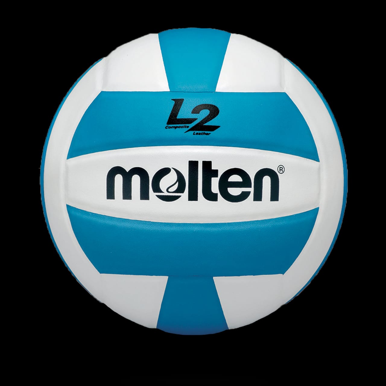 L2 Volleyball - main product image