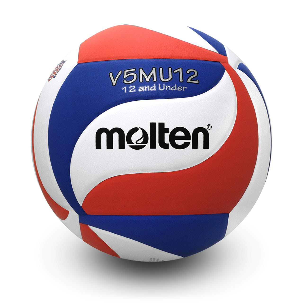 AAU Youth Volleyball - main product image