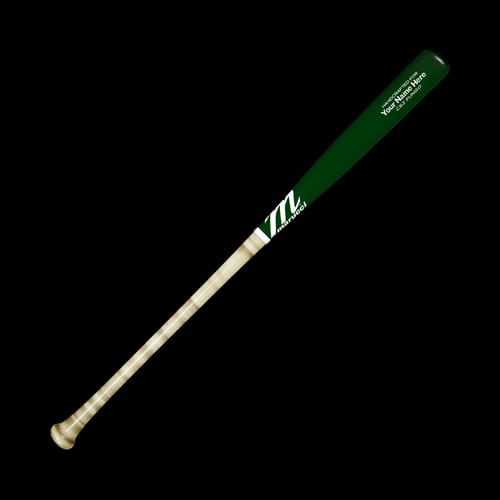 CS2 Custom Fungo - main product image