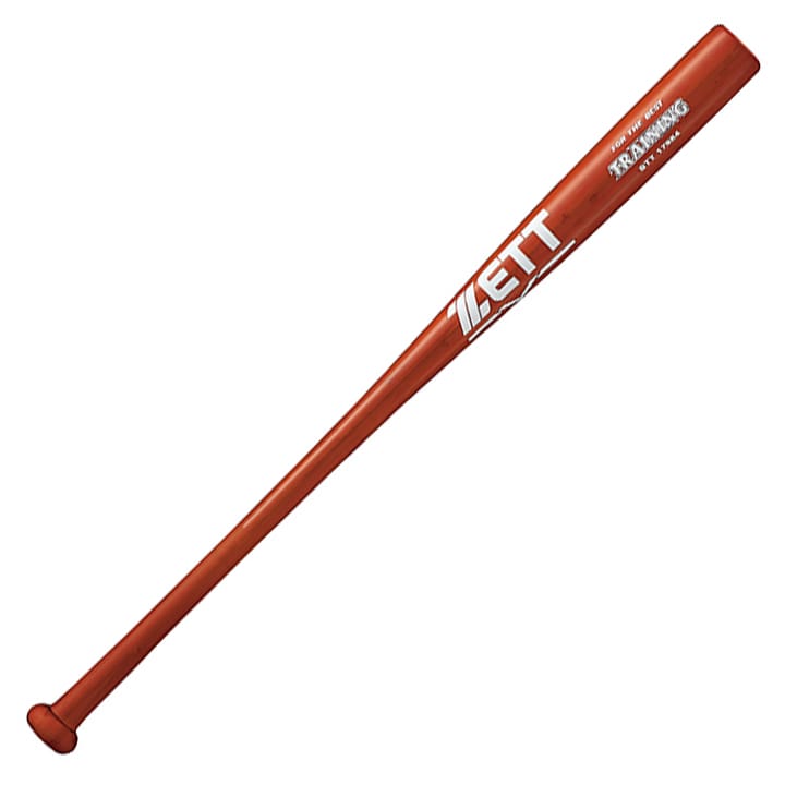 Training Bat - main product image