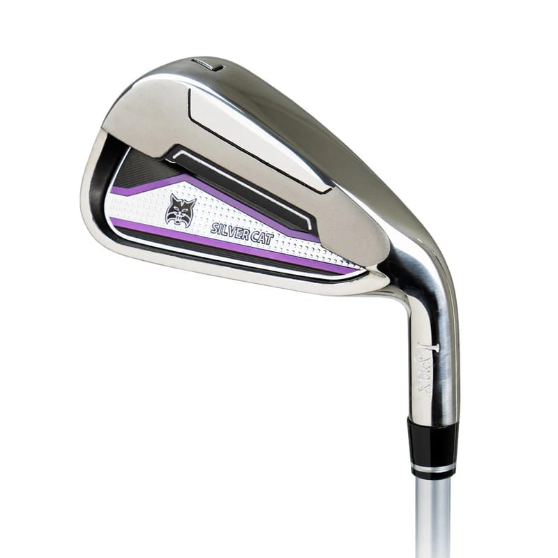 Silver Cat Iron - main product image