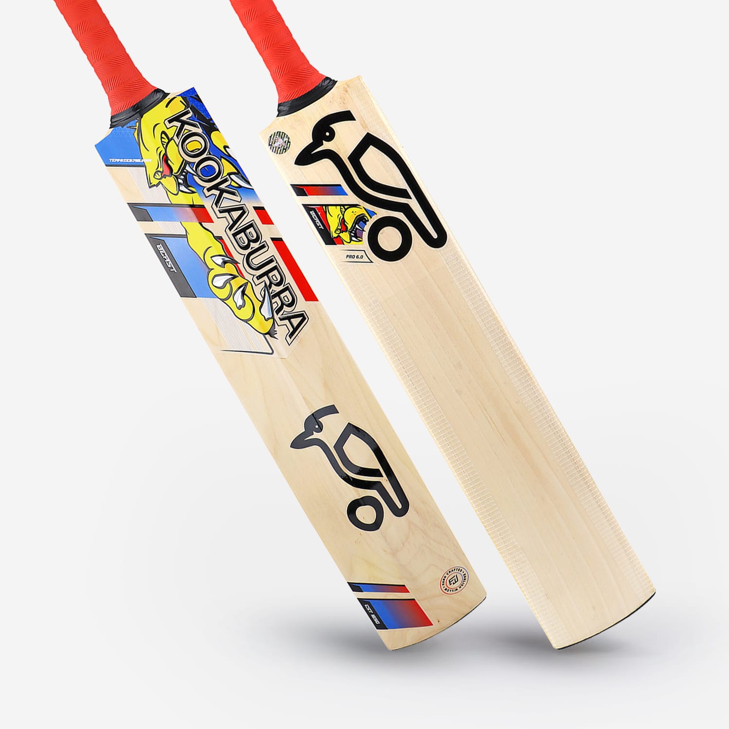 BEAST PRO 6.0 SENIOR CRICKET BAT - main product image