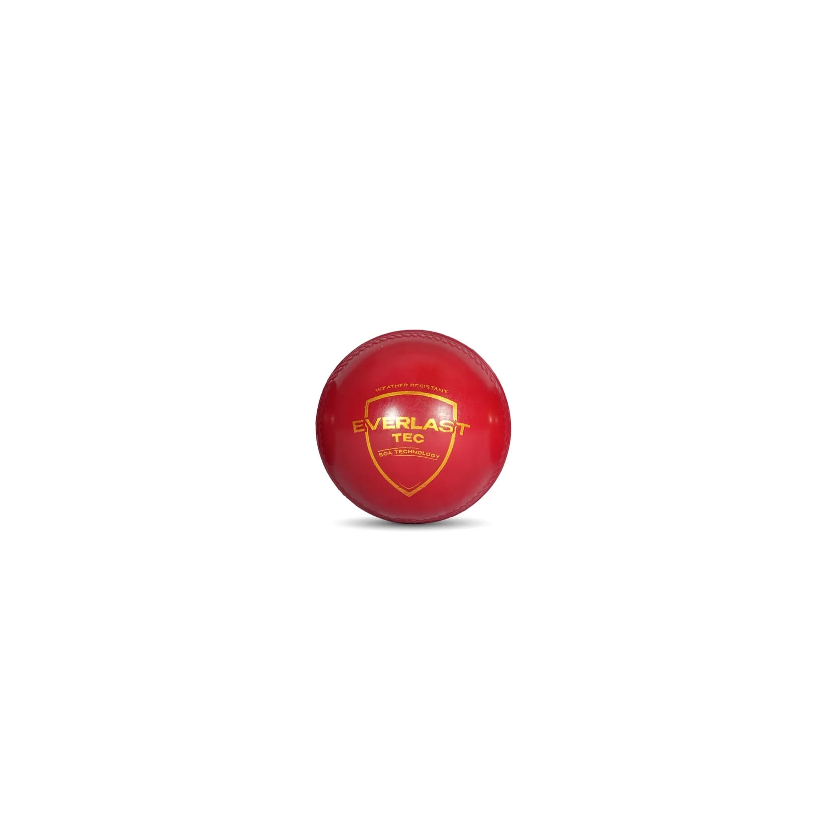 Everlast Tec Synthetic Cricket Ball - main product image