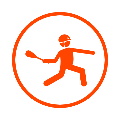 icon-for-Basque Pelota