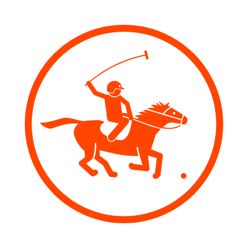 Polo icon