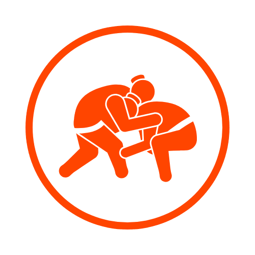 Sumo Wrestling icon